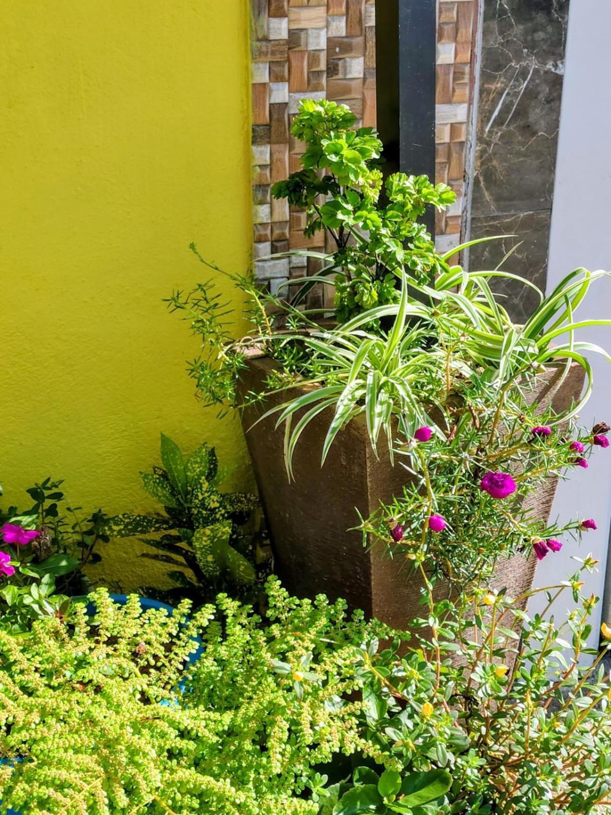 Hospedagem Encantos Da Serra Itatiaia  Exterior photo